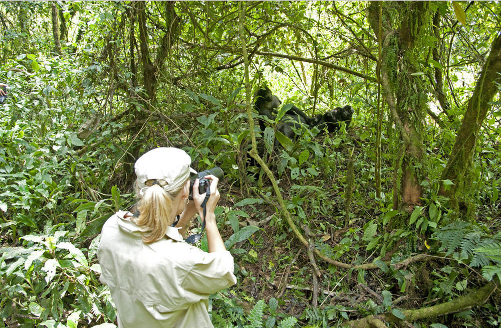 Отель Sanctuary Gorilla Forest Camp Ntungamo  Экстерьер фото